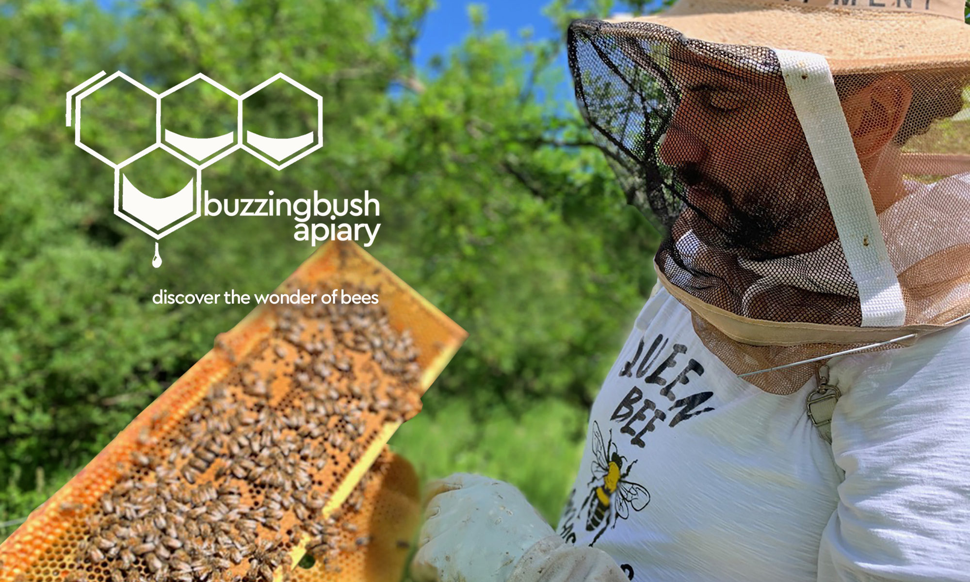 buzzing bush apiary